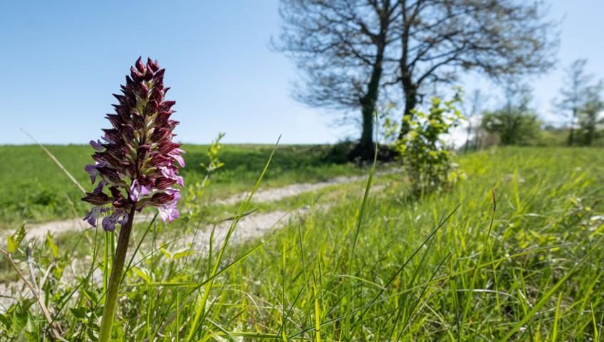 RISERVA NATURALE SORGENTI DEL BELBO